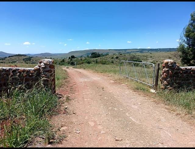 FARM FOR SALE IN MPOFANA